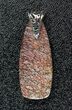 Pink Agatized Dinosaur Bone (Gembone) Pendant #54083-1